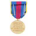 Médaille réserviste or